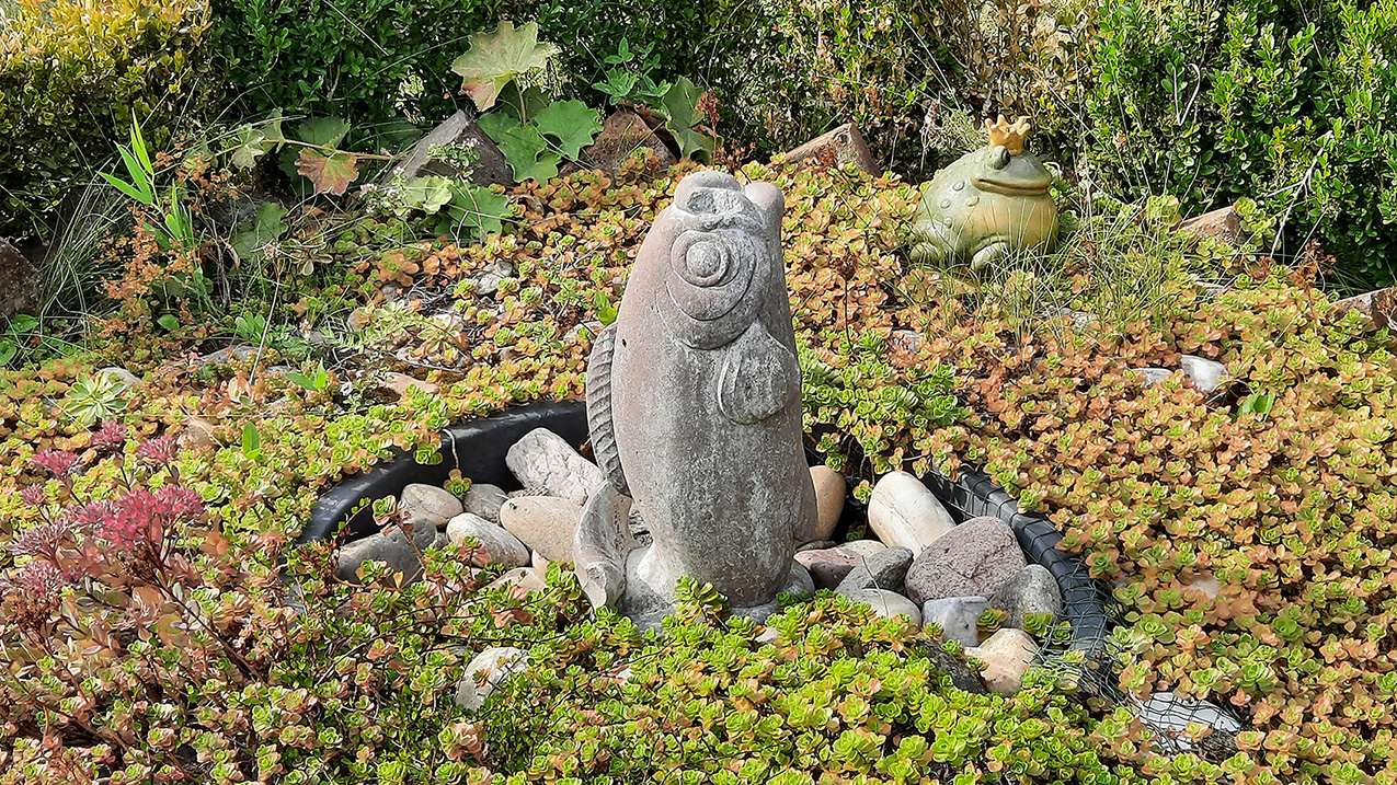 Fischbrunnen im Sommer, mit Sukkulenten überwachsen.