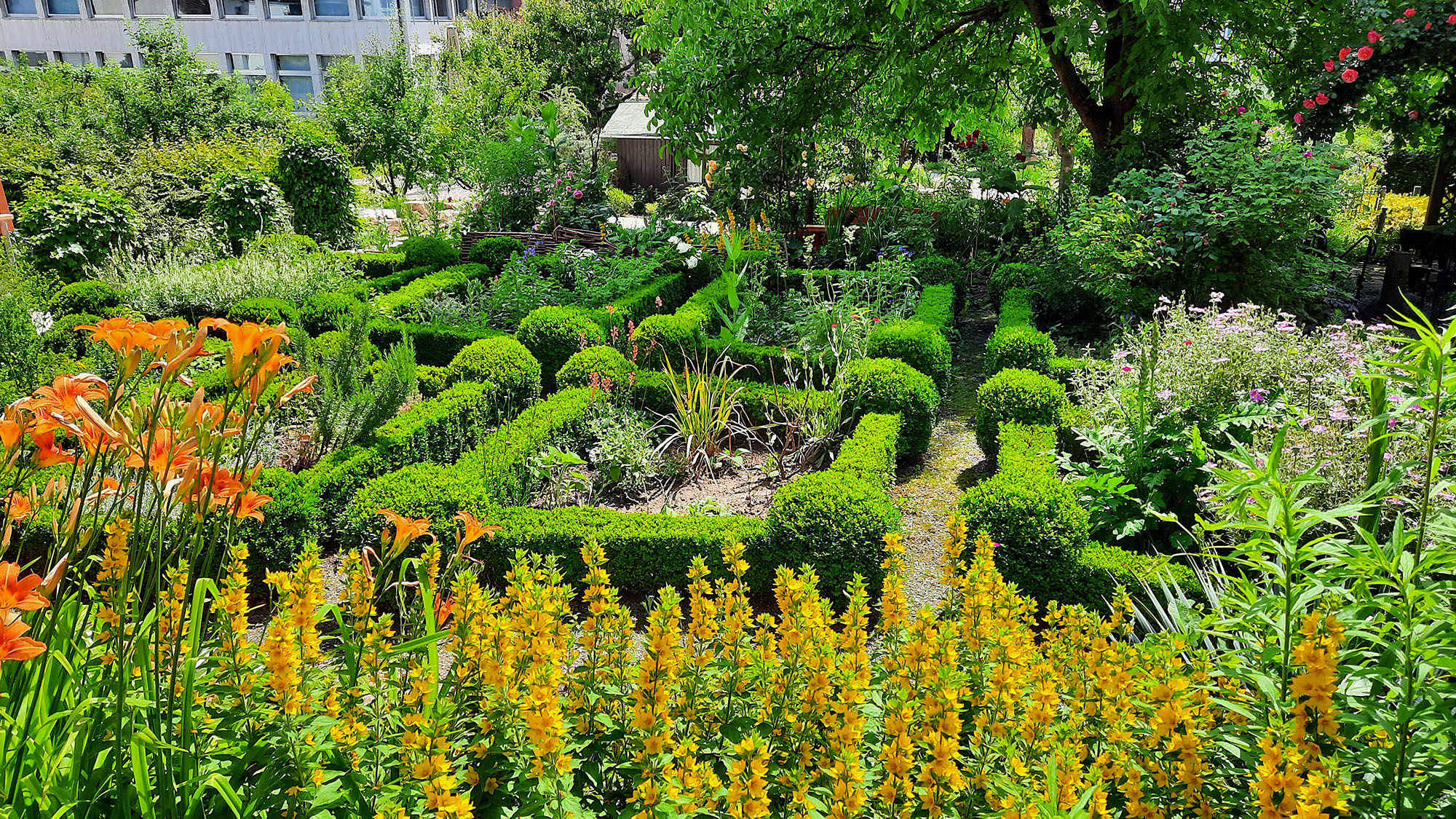 Blick auf den kreuzförmigen Kräutergarten im Sophiengarten