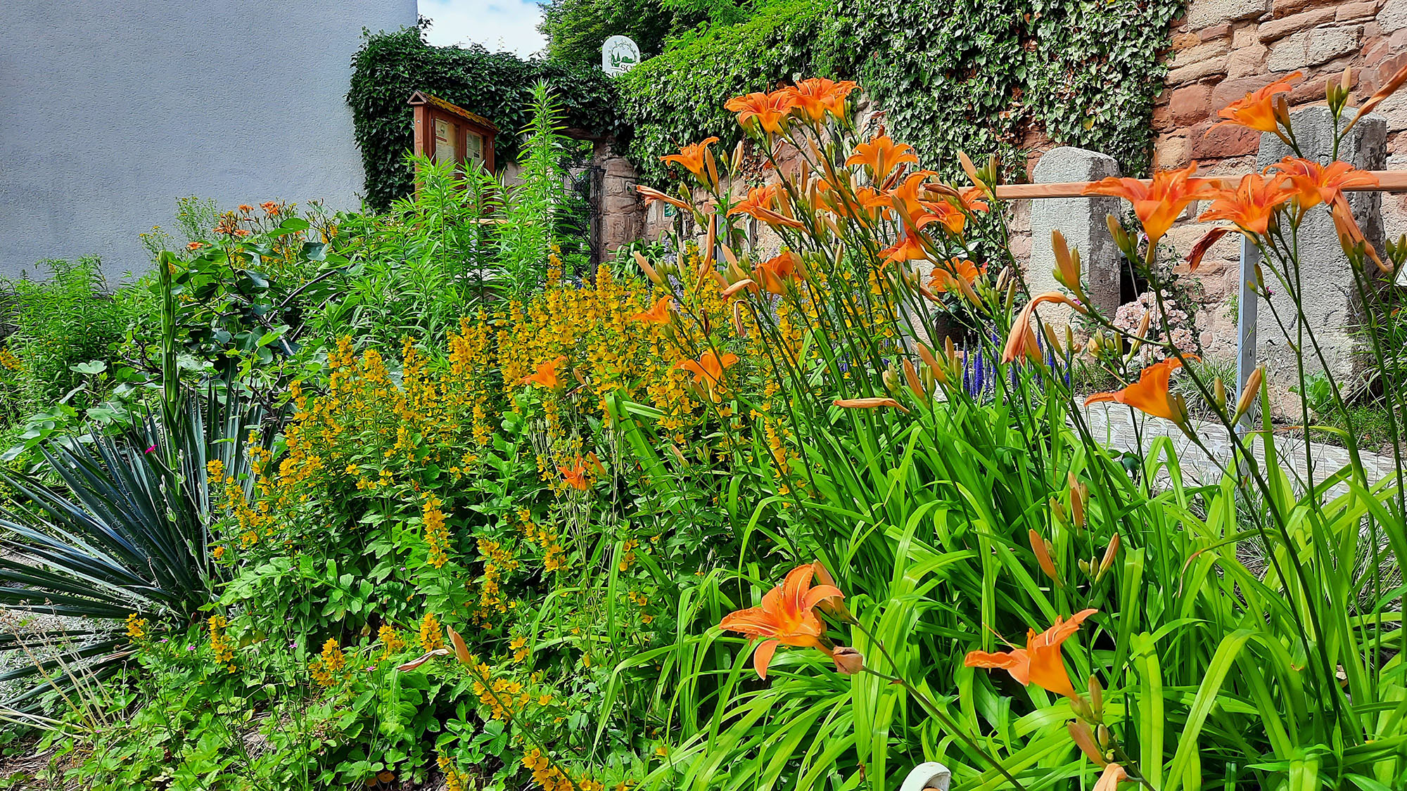 Blumenmeer am Eingang des Sophiengartens